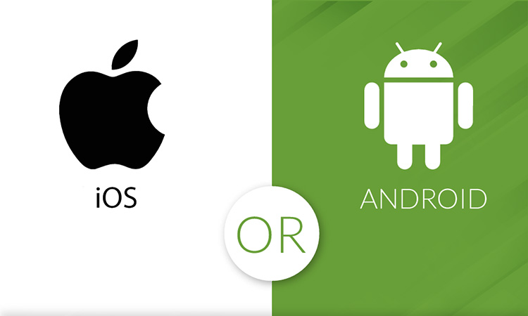 What are the differences between iOS and Android development?